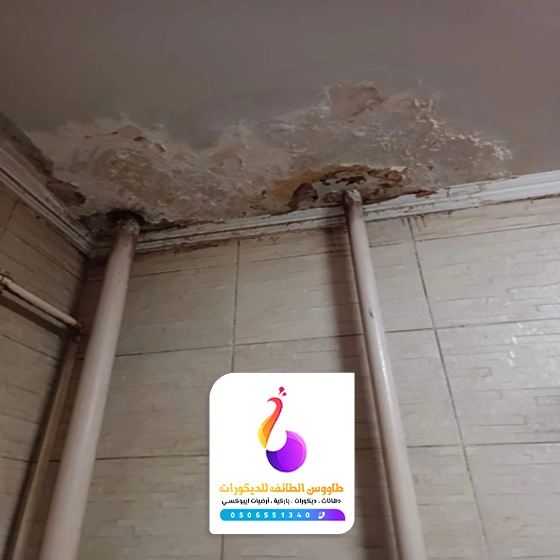 ترميم حمامات في الطائف